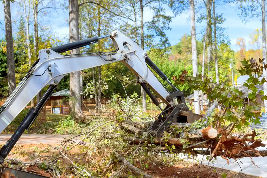 Affordable Land Clearing Copeland, FL