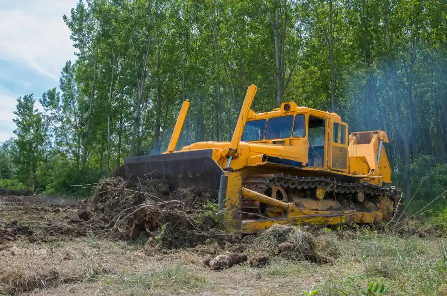 How Land Clearing Enhances Usable Space On Your Property in Copeland, FL