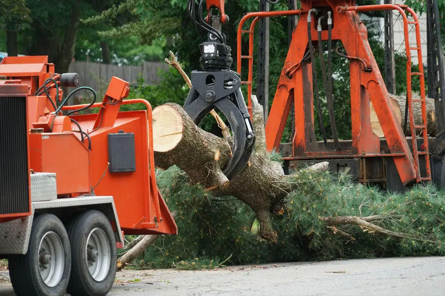 Reliable Tree Services Copeland, FL