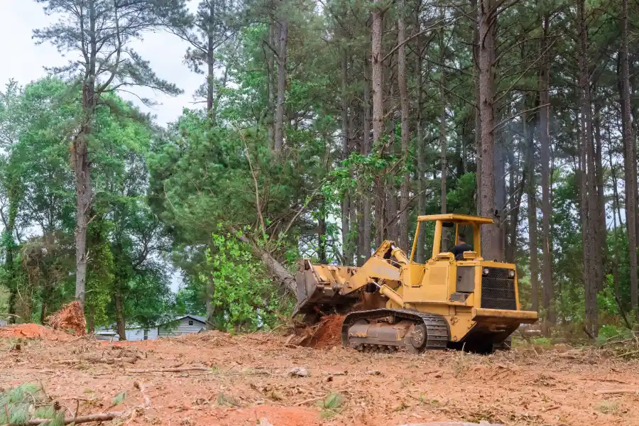 Why Land Clearing Is Key For Agricultural And Farming Projects Copeland, FL Why Land Clearing Is Key For Agricultural And Farming Projects Copeland, FL