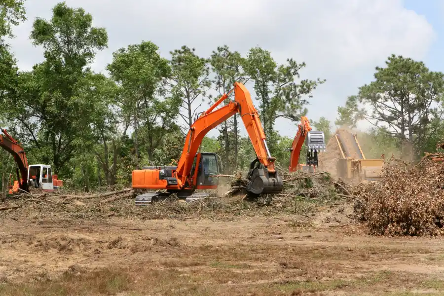 Why Land Clearing Is Key For Agricultural And Farming Projects in Copeland, FL Why Land Clearing Is Key For Agricultural And Farming Projects in Copeland, FL